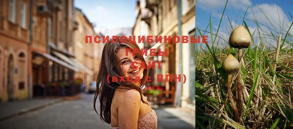 прущие крисы Михайловск
