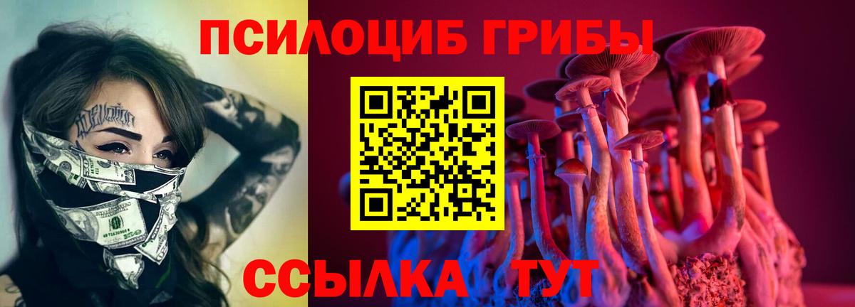 Псилоцибиновые грибы Cubensis Сыктывкар